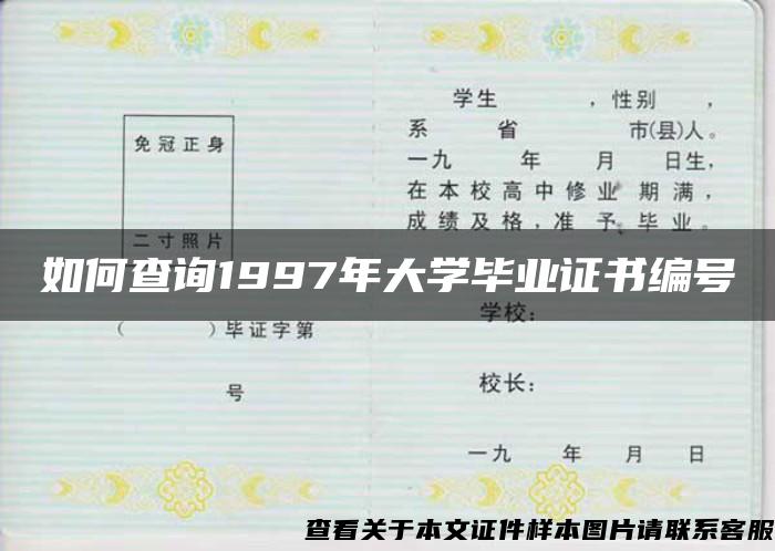 如何查询1997年大学毕业证书编号