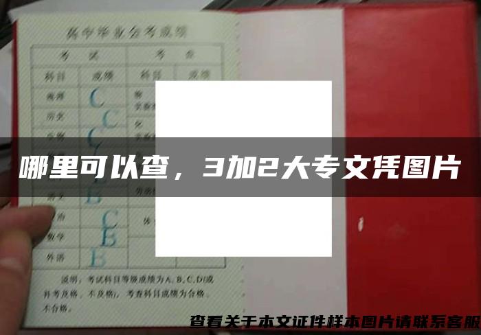 哪里可以查，3加2大专文凭图片