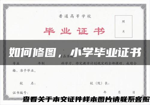 如何修图，小学毕业证书