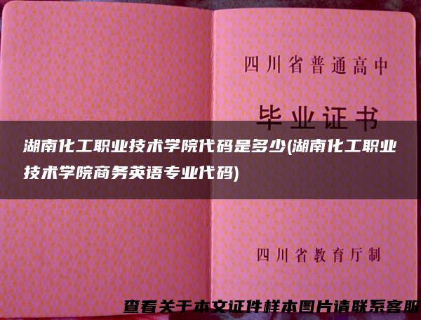 湖南化工职业技术学院代码是多少(湖南化工职业技术学院商务英语专业代码)