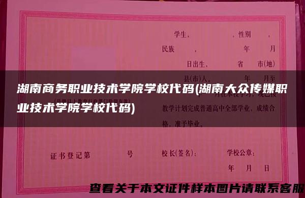 湖南商务职业技术学院学校代码(湖南大众传媒职业技术学院学校代码)