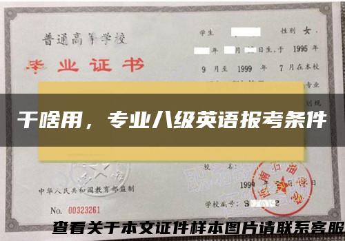 干啥用，专业八级英语报考条件