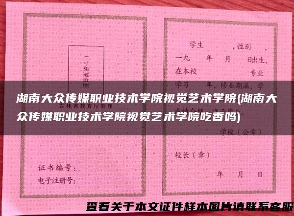 湖南大众传媒职业技术学院视觉艺术学院(湖南大众传媒职业技术学院视觉艺术学院吃香吗)