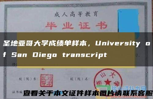 圣地亚哥大学成绩单样本，University of San Diego transcript