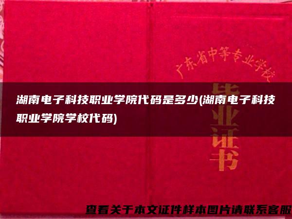 湖南电子科技职业学院代码是多少(湖南电子科技职业学院学校代码)