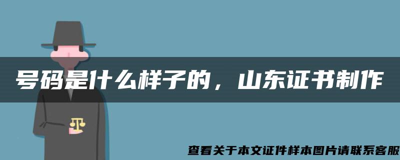 号码是什么样子的，山东证书制作