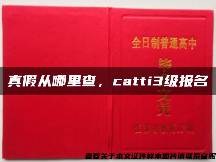 真假从哪里查，catti3级报名