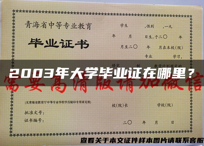 2003年大学毕业证在哪里？