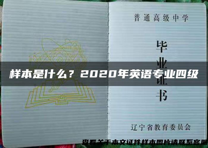 样本是什么？2020年英语专业四级