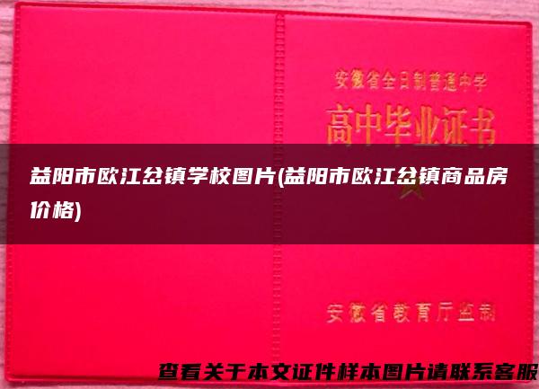 益阳市欧江岔镇学校图片(益阳市欧江岔镇商品房价格)