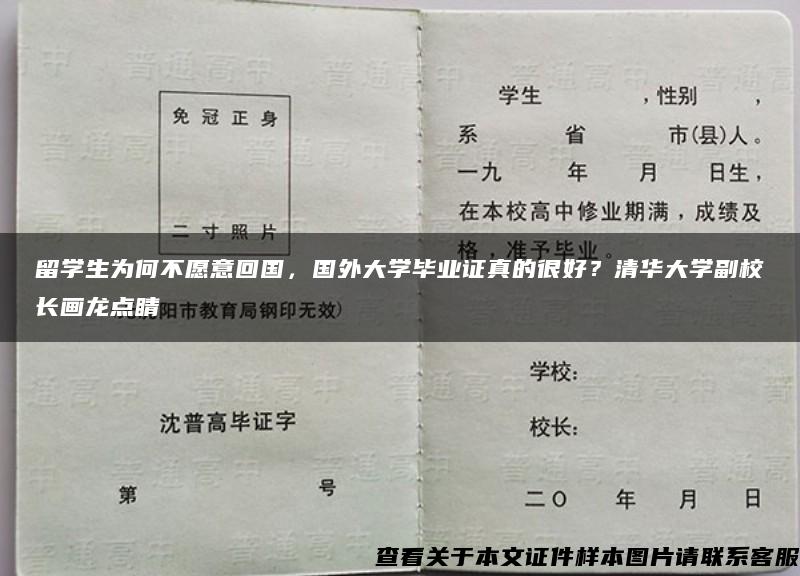 留学生为何不愿意回国，国外大学毕业证真的很好？清华大学副校长画龙点睛