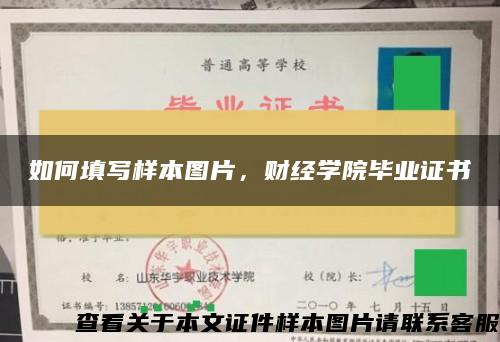 如何填写样本图片，财经学院毕业证书