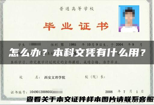 怎么办？本科文凭有什么用？