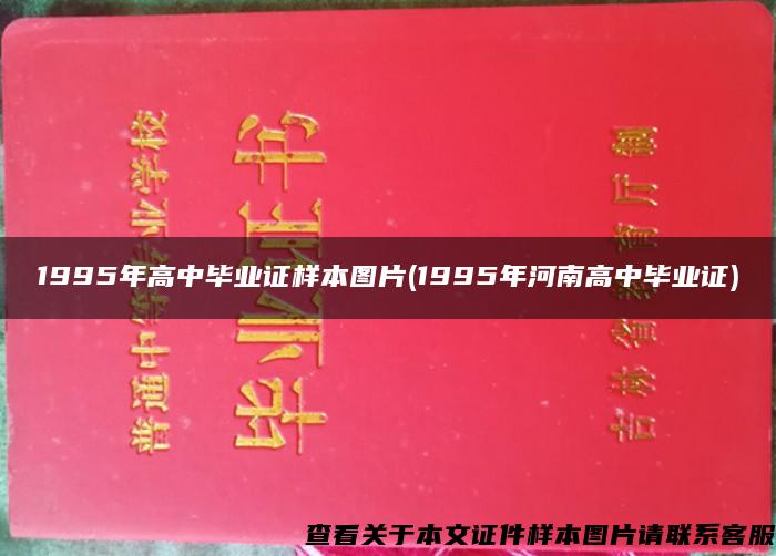 1995年高中毕业证样本图片(1995年河南高中毕业证)