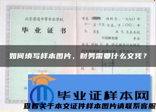 如何填写样本图片，财务需要什么文凭？