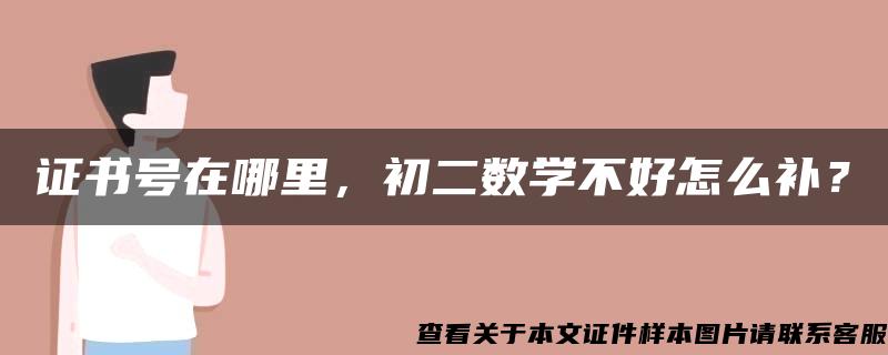 证书号在哪里，初二数学不好怎么补？