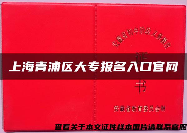 上海青浦区大专报名入口官网