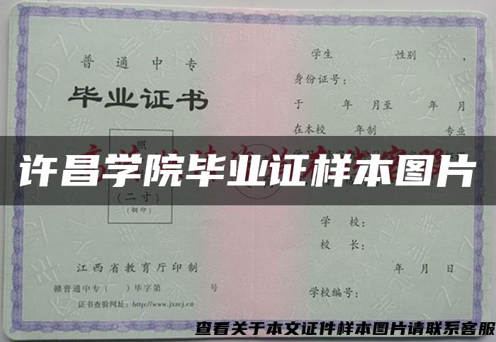 许昌学院毕业证样本图片