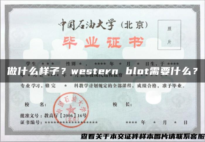 做什么样子？western blot需要什么？