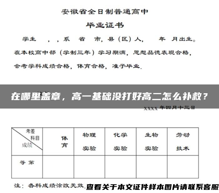 在哪里盖章，高一基础没打好高二怎么补救？