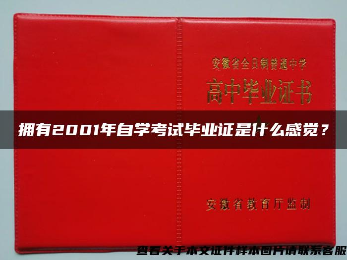 拥有2001年自学考试毕业证是什么感觉？