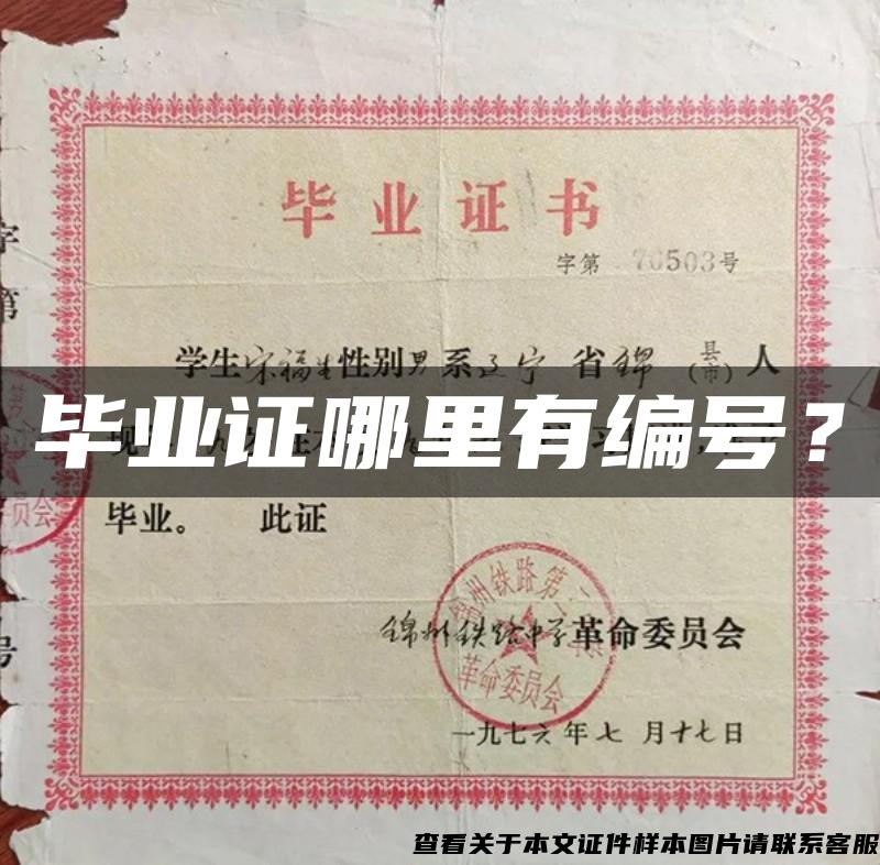 毕业证哪里有编号？