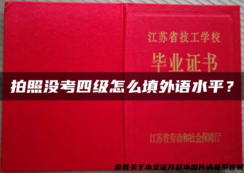 拍照没考四级怎么填外语水平？