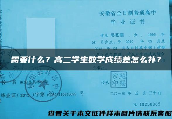 需要什么？高二学生数学成绩差怎么补？