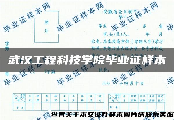 武汉工程科技学院毕业证样本