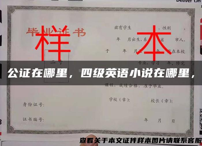 公证在哪里，四级英语小说在哪里，