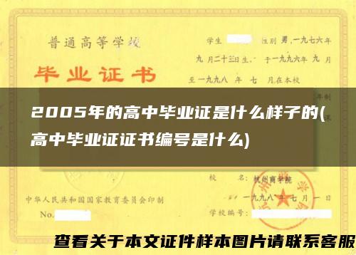 2005年的高中毕业证是什么样子的(高中毕业证证书编号是什么)