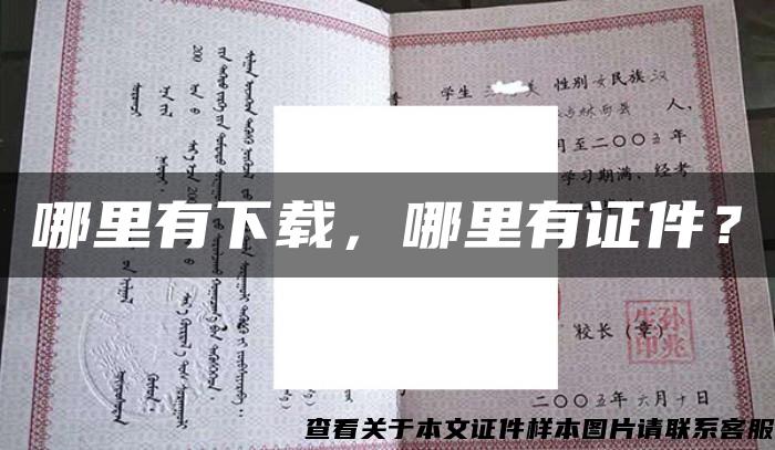 哪里有下载，哪里有证件？