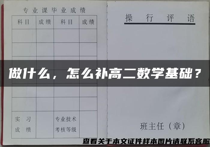 做什么，怎么补高二数学基础？