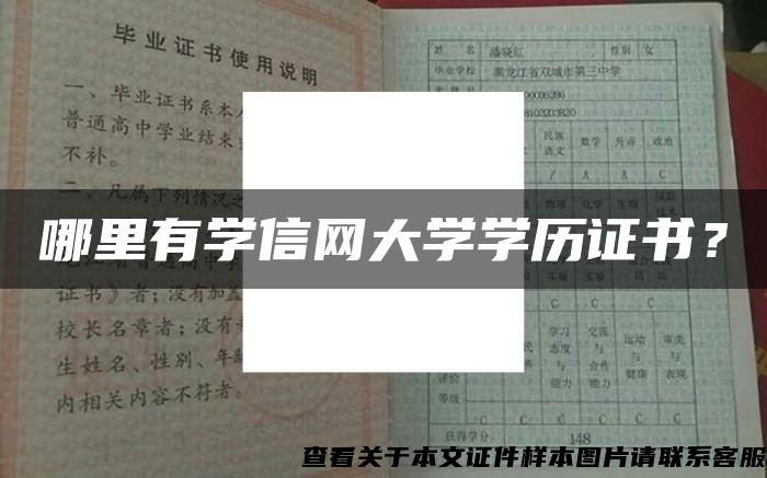 哪里有学信网大学学历证书？