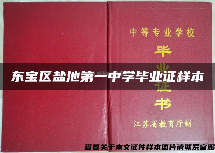 东宝区盐池第一中学毕业证样本