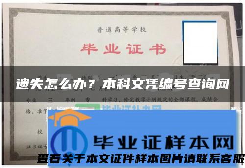 遗失怎么办？本科文凭编号查询网