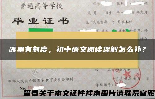 哪里有制度，初中语文阅读理解怎么补？