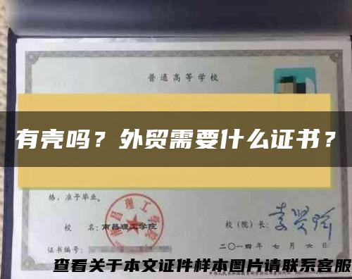 有壳吗？外贸需要什么证书？