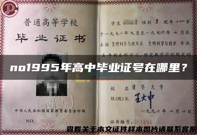 no1995年高中毕业证号在哪里？