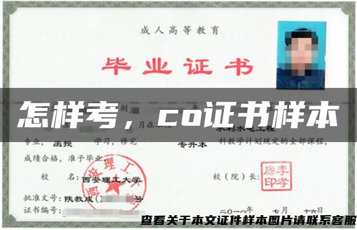 怎样考，co证书样本