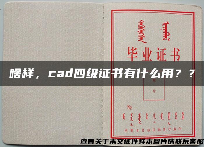 啥样，cad四级证书有什么用？？