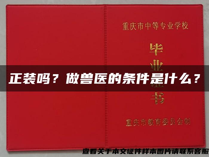 正装吗？做兽医的条件是什么？