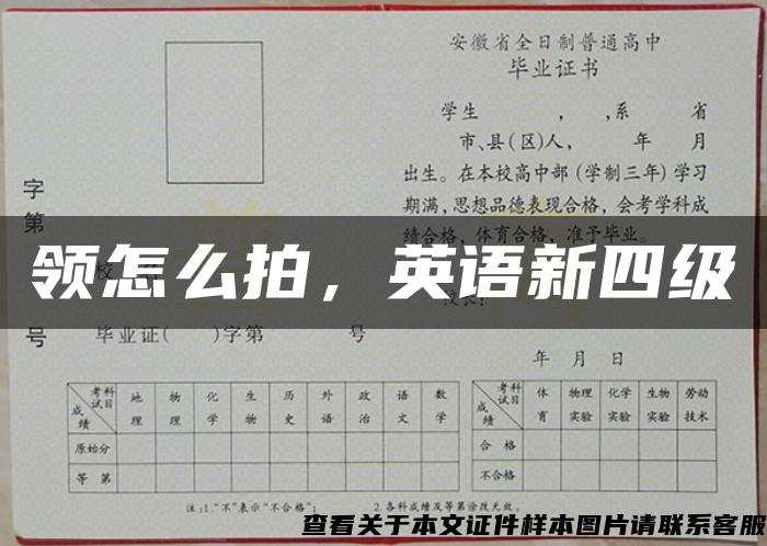 领怎么拍，英语新四级