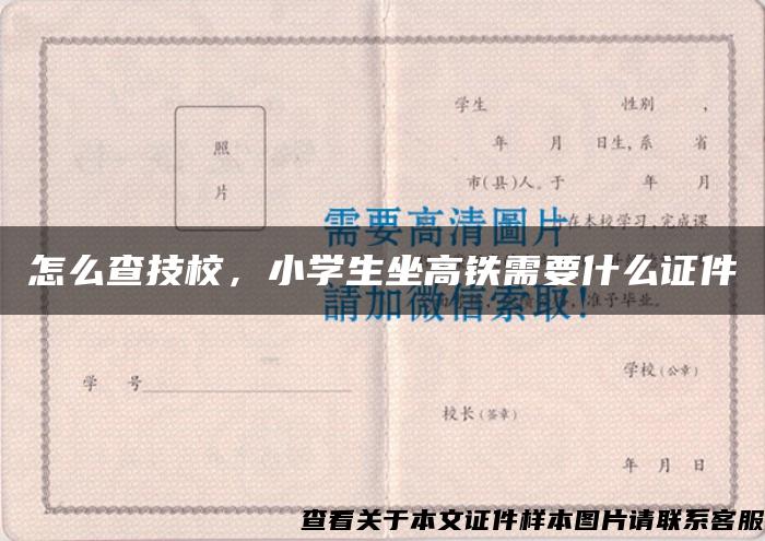 怎么查技校，小学生坐高铁需要什么证件