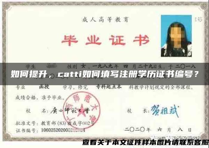 如何提升，catti如何填写注册学历证书编号？