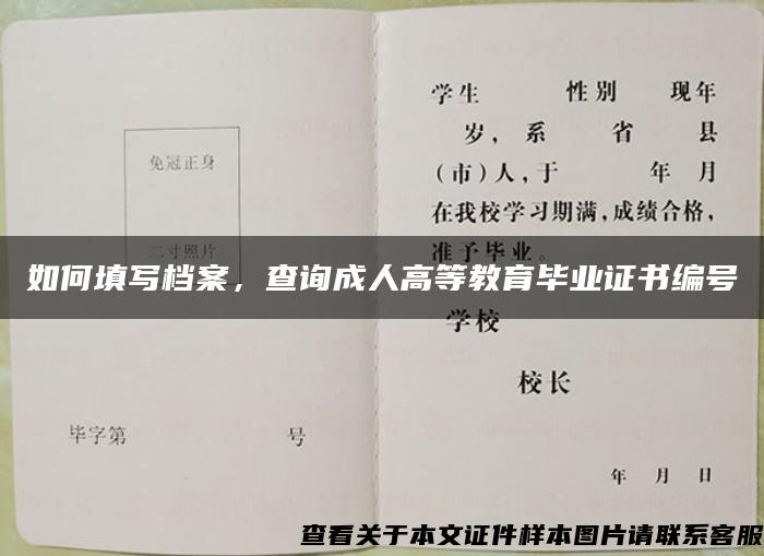 如何填写档案，查询成人高等教育毕业证书编号