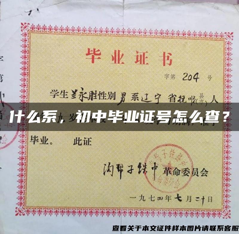 什么系，初中毕业证号怎么查？