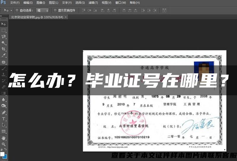 怎么办？毕业证号在哪里？