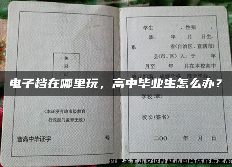 电子档在哪里玩，高中毕业生怎么办？