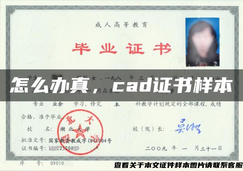 怎么办真，cad证书样本